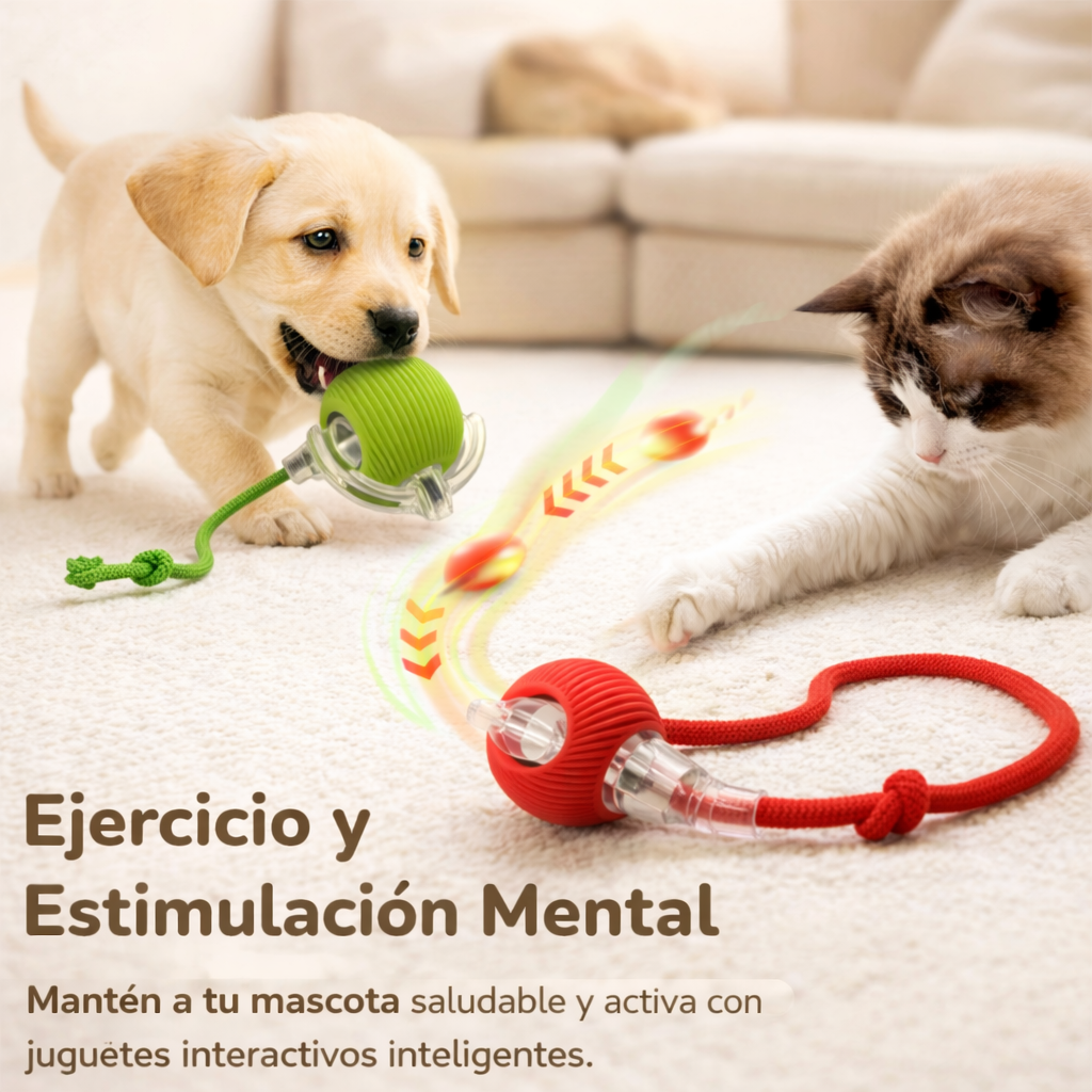 ZoomiPet™ - Pelota Interactiva para Mascotas