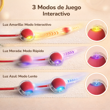 ZoomiPet™ - Pelota Interactiva para Mascotas