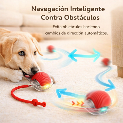 ZoomiPet™ - Pelota Interactiva para Mascotas