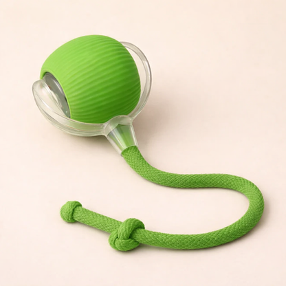 ZoomiPet™ - Pelota Interactiva para Mascotas