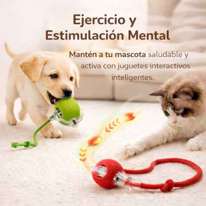 ZoomiPet™ - Entretenimiento para tu mascota, tranquilidad para ti.